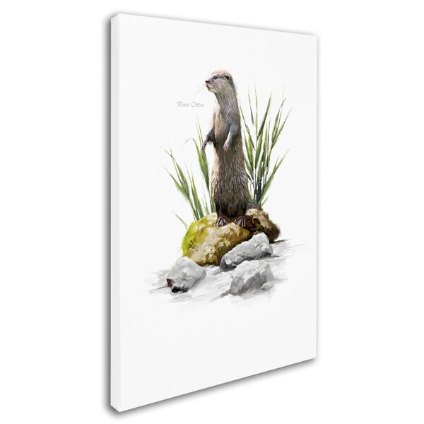 The Macneil Studio 'River Otter' Canvas Art,16x24